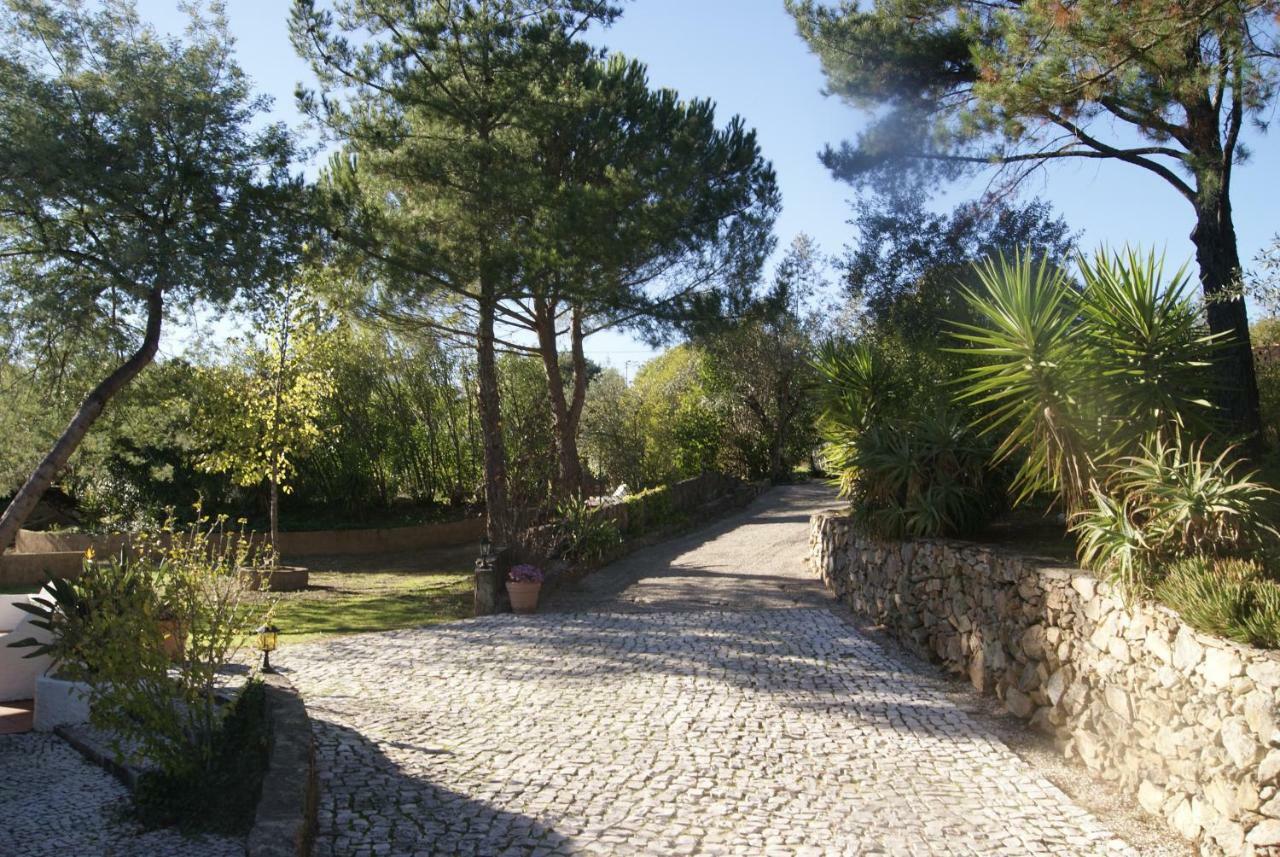 Casa Do Vale Villa Sao Pedro de Tomar Kültér fotó
